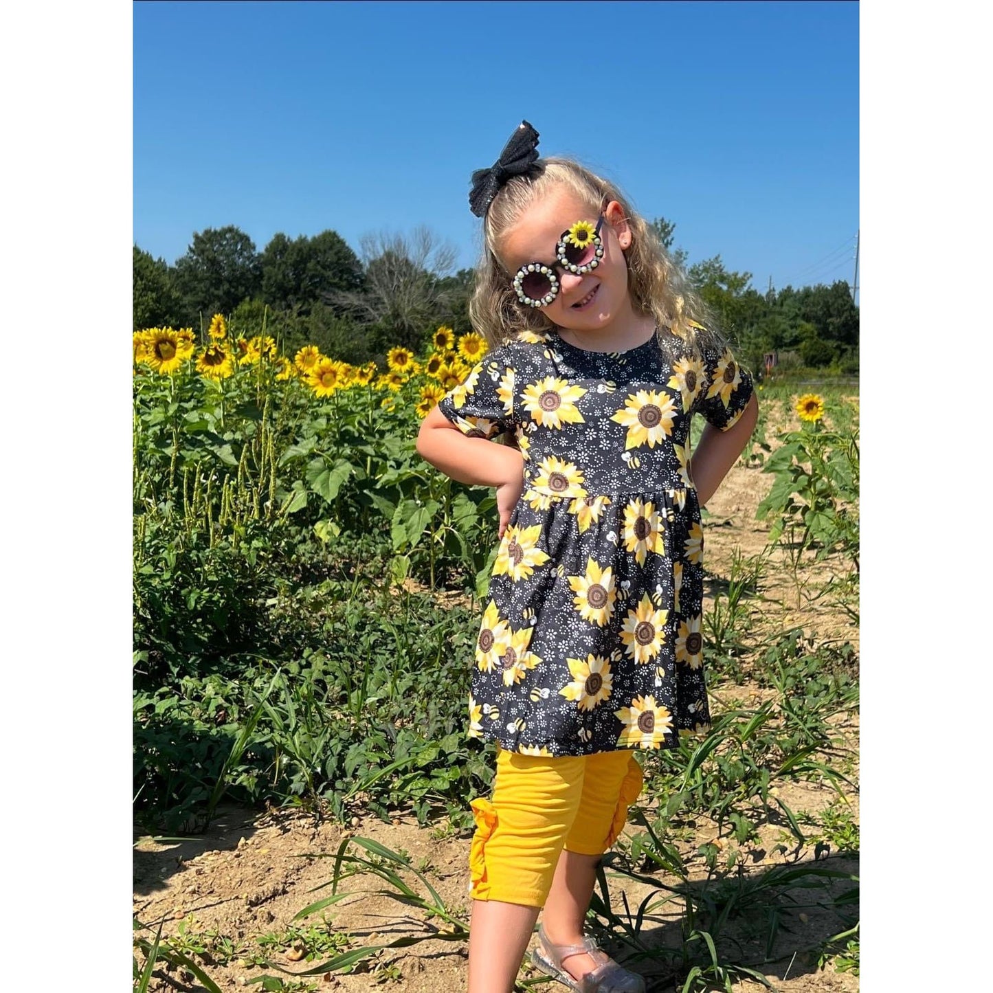 Sunflower set